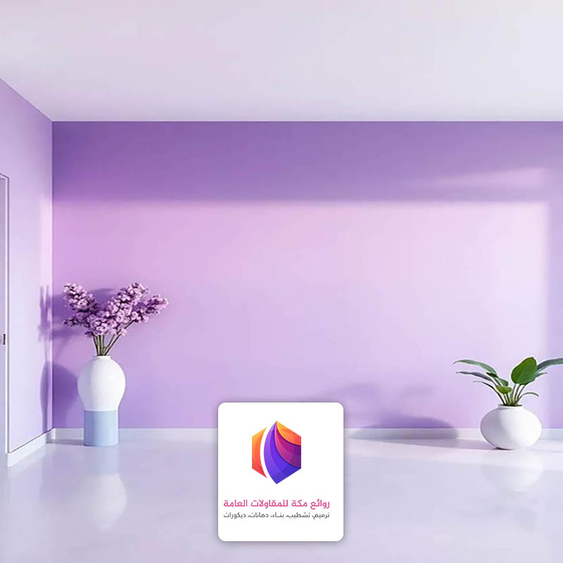دهان داخلي مودرن مكة